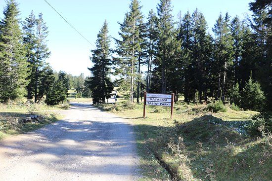 Kayabasi Tabiat Parki